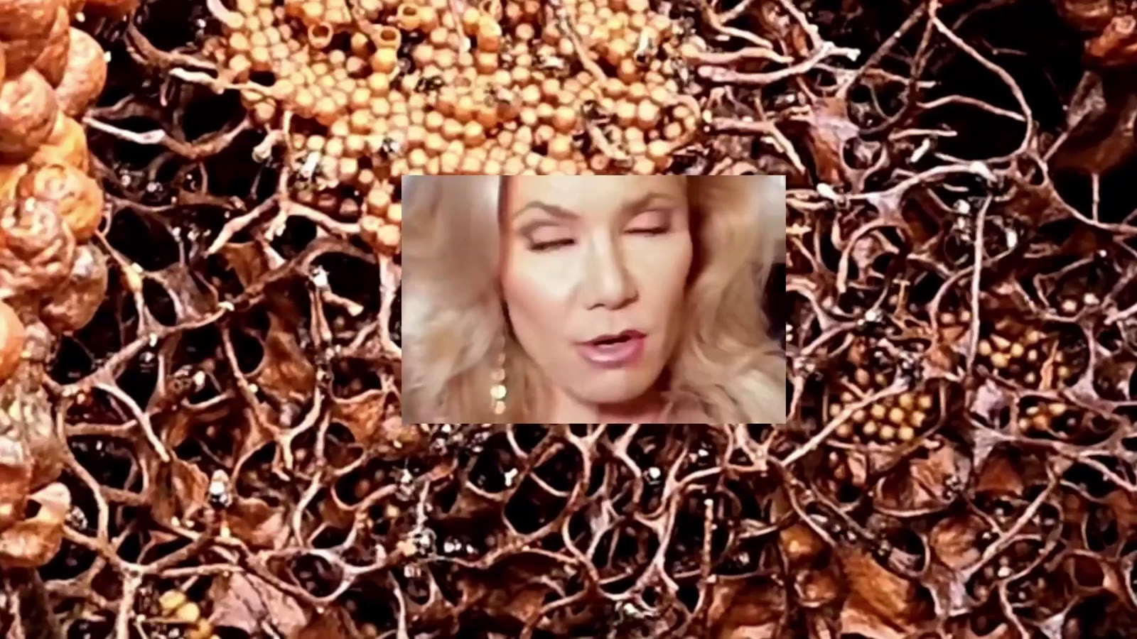 Still from the work of Bailey Keogh